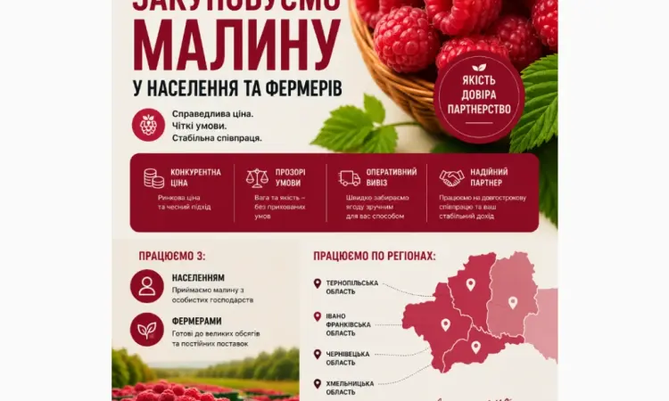 Закупляємо свіжу малину сезон 2026 - фото № 1