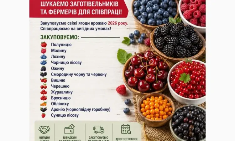Закуповуємо ягоди - фото № 1