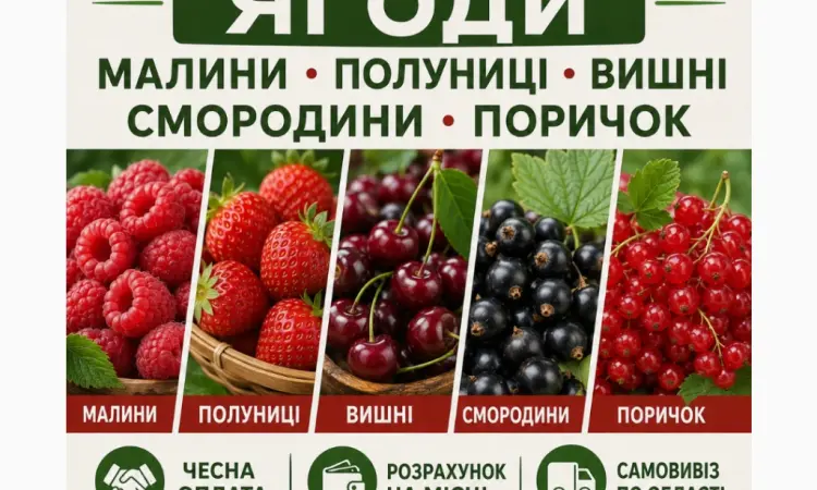 Підпиємство купує ягоди Полуниць - фото № 1