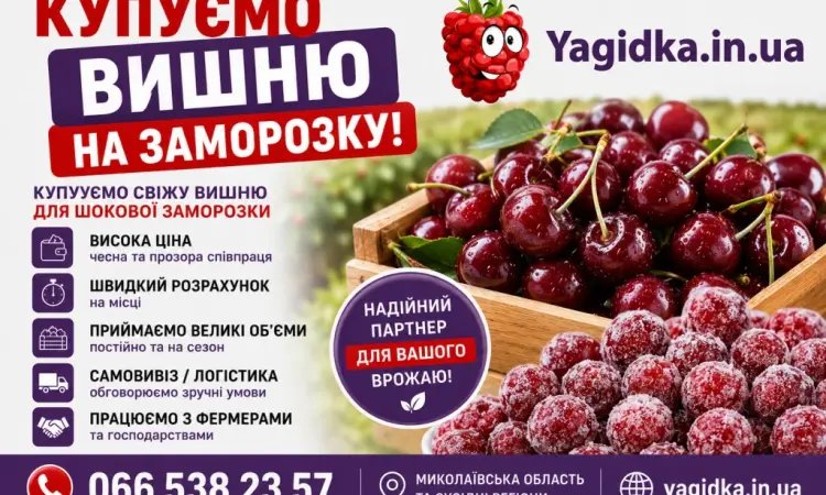 Куплю вишню - фото № 1