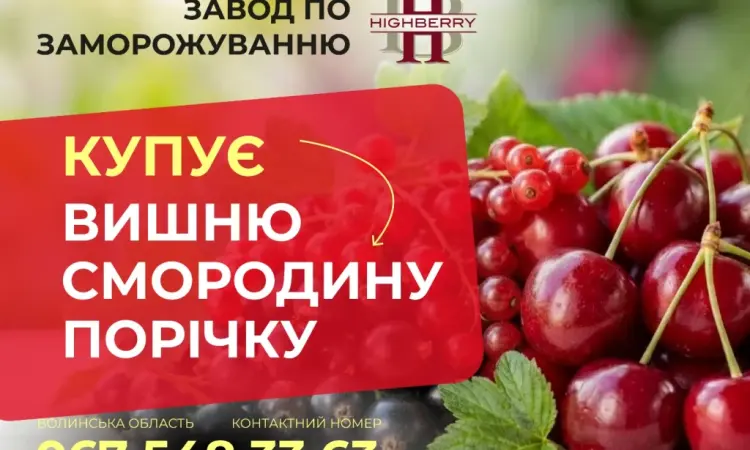 Купуємо ВИШНЮ - фото № 1