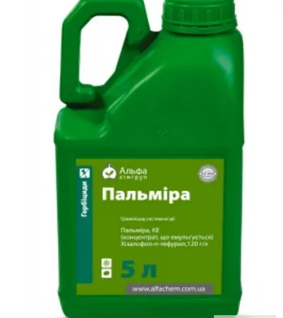 Гребицид Пальмира - фото № 1