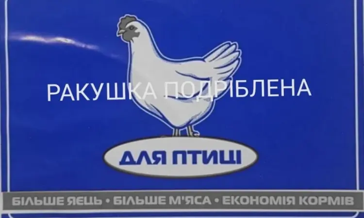Черноморская ракушка на подкорм птицы. Больше яиц - фото № 3