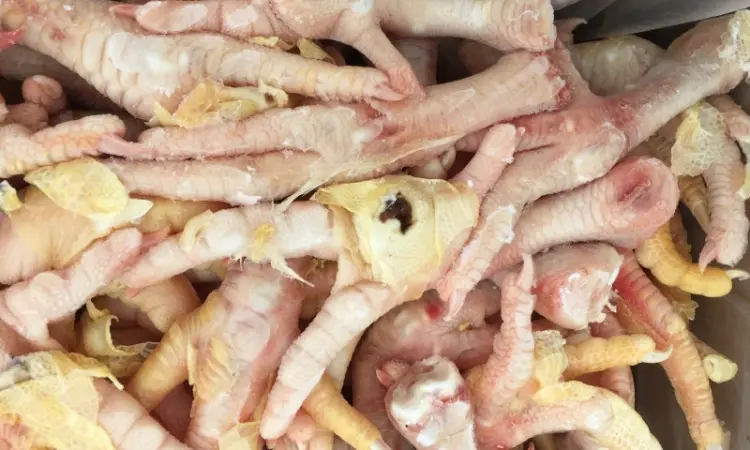 Продаем и Экспортируем куриную лапу класс С - фото № 1