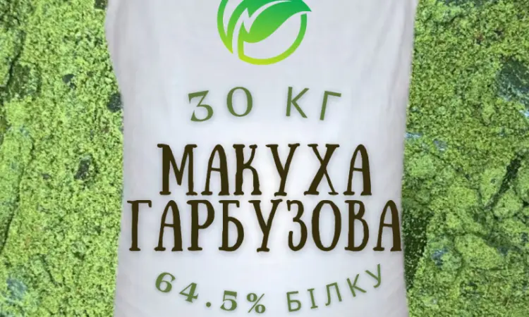 Гарбузовий жмих/тыквенная макуха. Макуха из семян тыквы. Опт и розница - фото № 1