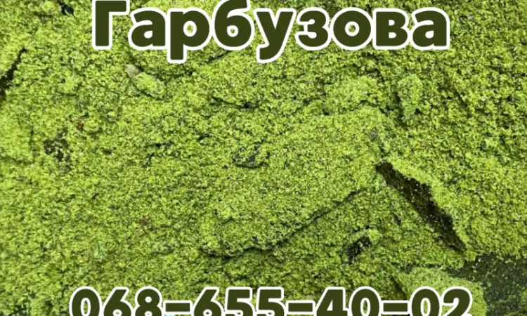 Гарбузовий жмих/тыквенная макуха. Макуха из семян тыквы. Опт и розница - фото № 2