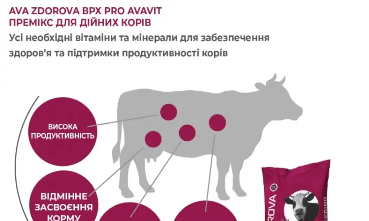 Премікс для дійних корів AVA ZDOROVA ВРХ PRO Avavit - фото № 3