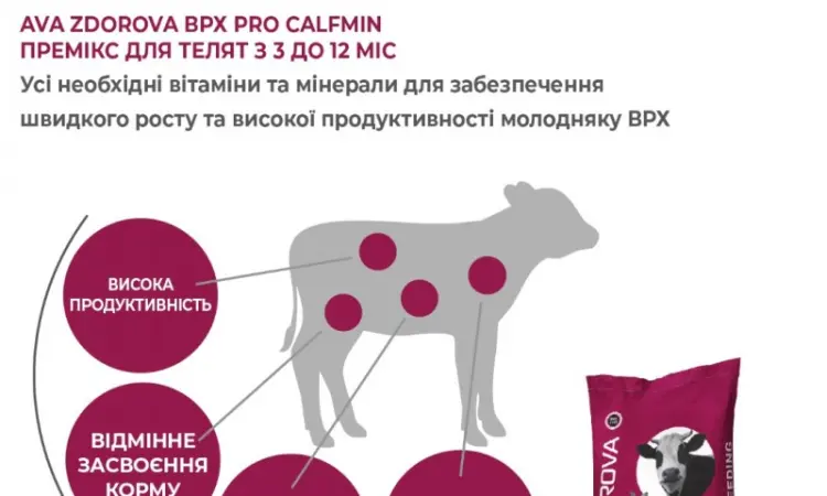 Вітамінно-мінеральний премікс для телят з 3 до 2 місяців AVA ZDOROVA ВРХ PRO CalfMin - фото № 3