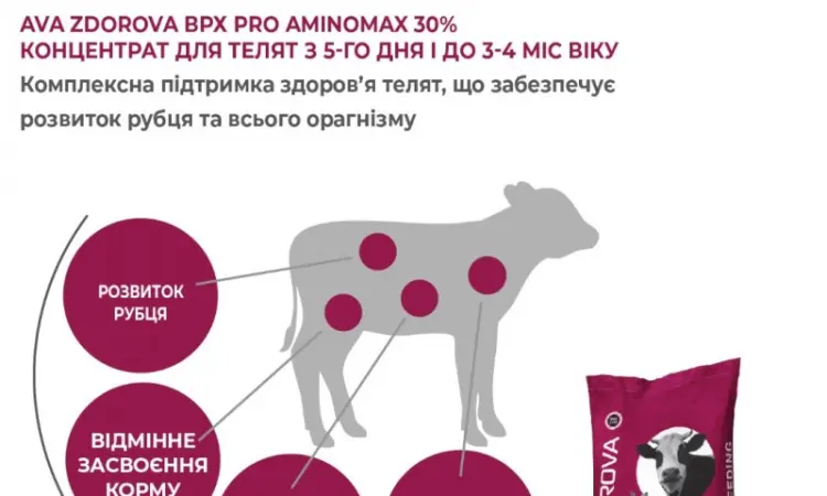 Гранульований концентрат для телят з перших днів AVA ZDOROVA ВРХ PRO AminoMax 30% - фото № 3