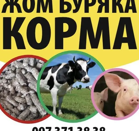 Продам жом буряка гранула/стружка - фото № 2