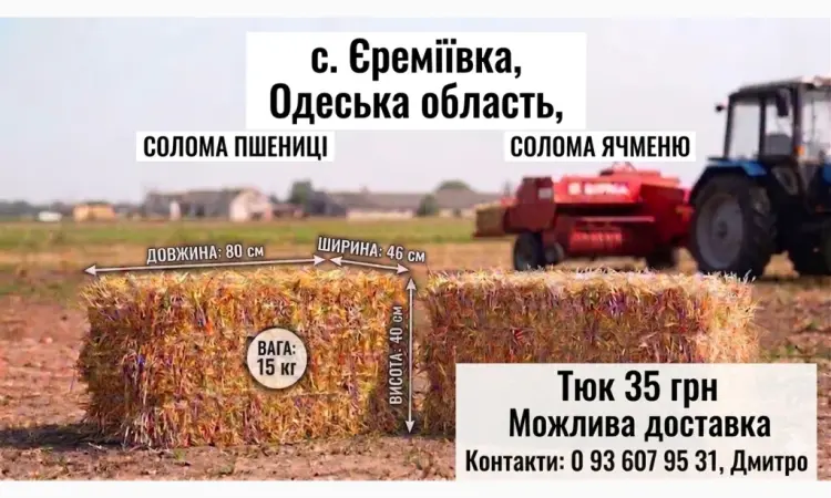 Солома в тюках (пшенична - фото № 1