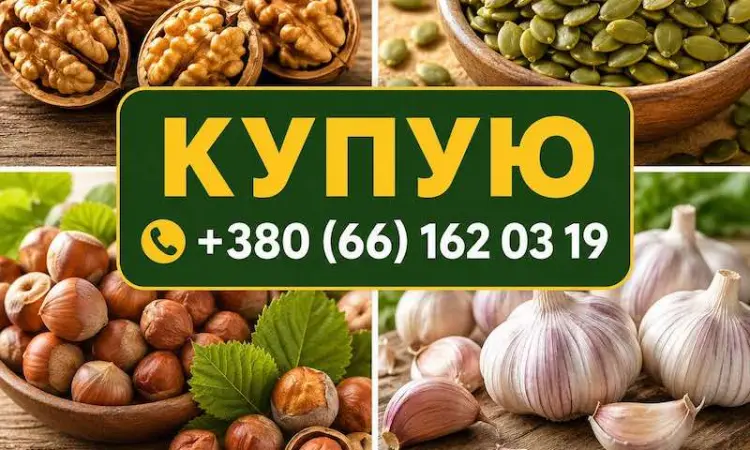 Куплю горіх - фото № 1