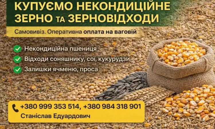 Купуємо некондицію та зерновідходи на постійній основі - фото № 1