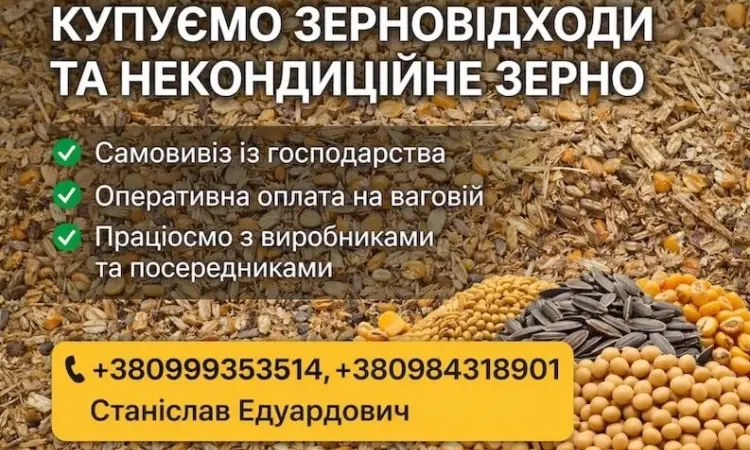 Закуповуємо по Україні зерновідходи та некондицію - фото № 1