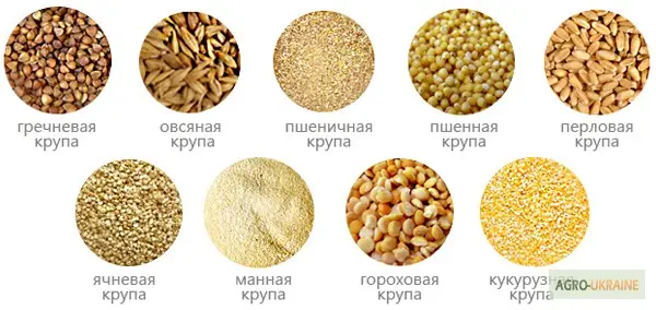 Крупи ассортимент гречана пшоно рис пшенична ячна вівсяні пластівці цукор борошно - фото № 1