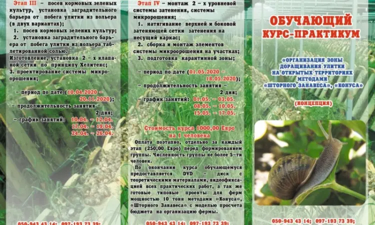 Улиточная ферма методом "Шторного Занавеса". Обучающий курс - практикум - фото № 1