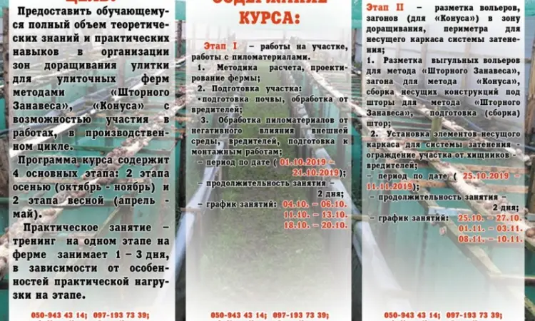 Улиточная ферма методом "Шторного Занавеса". Обучающий курс - практикум - фото № 2