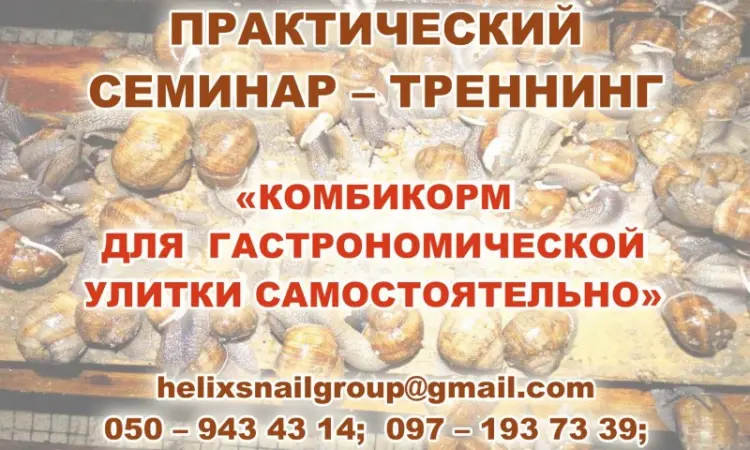 Улиточная ферма методом "Шторного Занавеса". Обучающий курс - практикум - фото № 3
