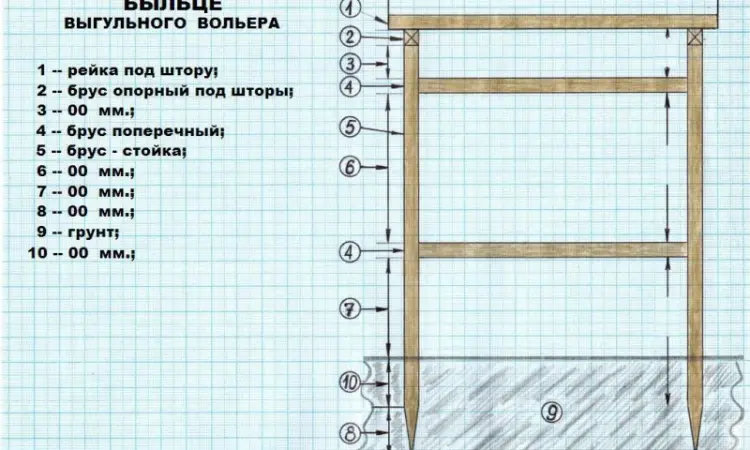 Улиточная ферма разведения виноградной улитки. Технология - фото № 6