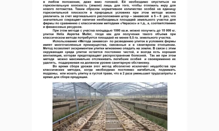 Улиточная ферма разведения виноградной улитки. Технология - фото № 2
