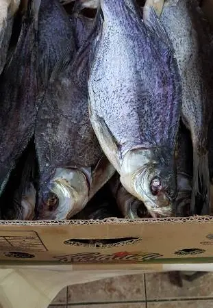 Рыбоперерабатывающее предприятие реализует речную вяленую и копченую рыбу в ассортименте - фото № 1