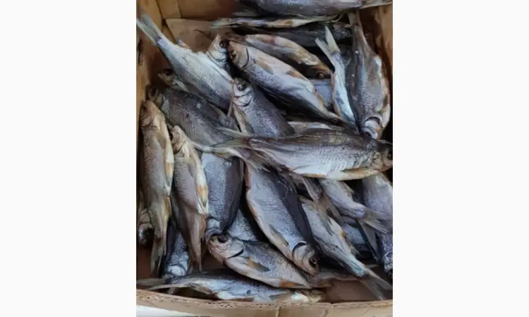 Продам тарань вяленную 125грн/кг. 130грн/кг. 170грн/кг. Опт - фото № 3