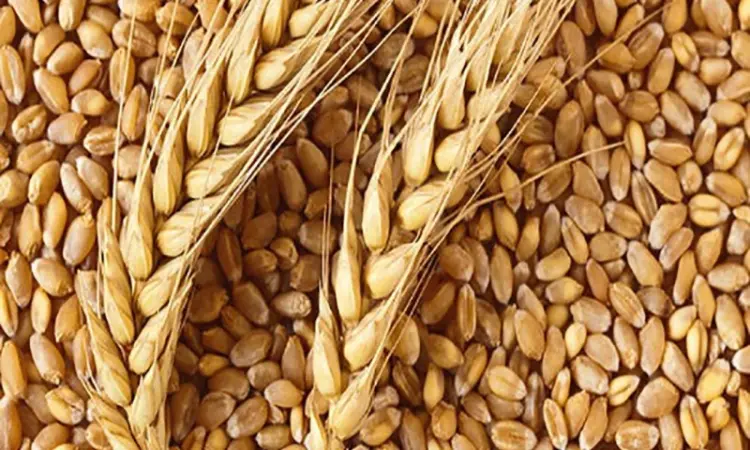 Закуповуємо побічні продукти зернових - фото № 1