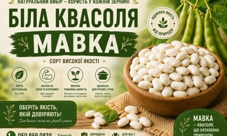 Продаж квасолі Біла мавка(рисовка) - фото № 1