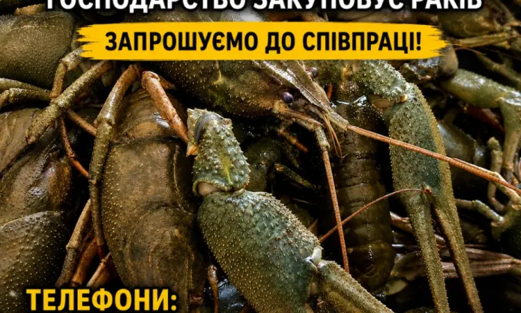 Закуповуємо Рака - фото № 1