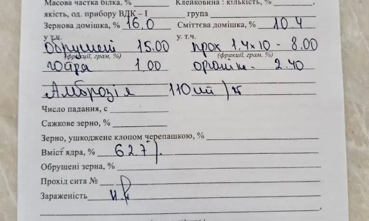 Продам жовте просо - фото № 2