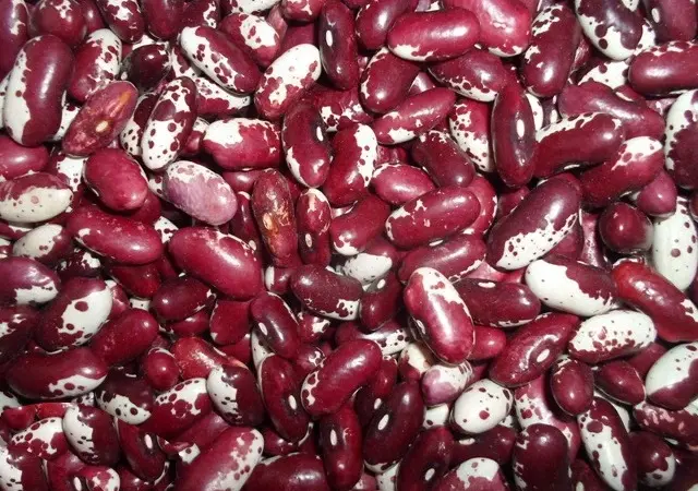 Квасоля на продаж. Різні сорти в асортименті - фото № 1