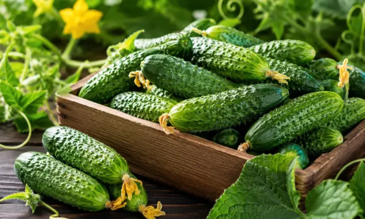 Продам свіжі огірки корнішони 7–9 см - 45 грн/кг - фото № 1