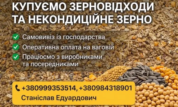 Постійна закупівля зерновідходів та некондиції - фото № 1