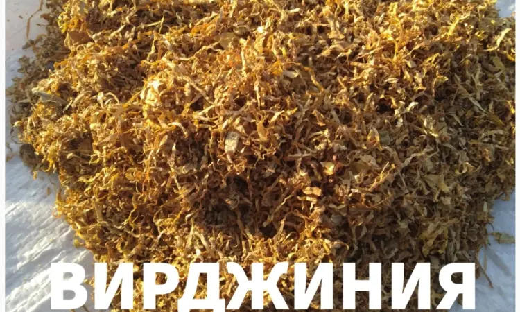 Табак Вирджиния Голд - фото № 2