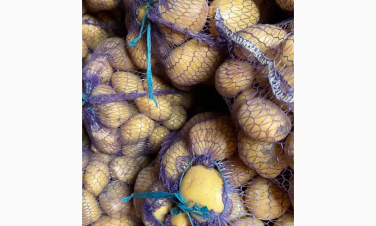 Продам картоплю Рівʼєра - фото № 1