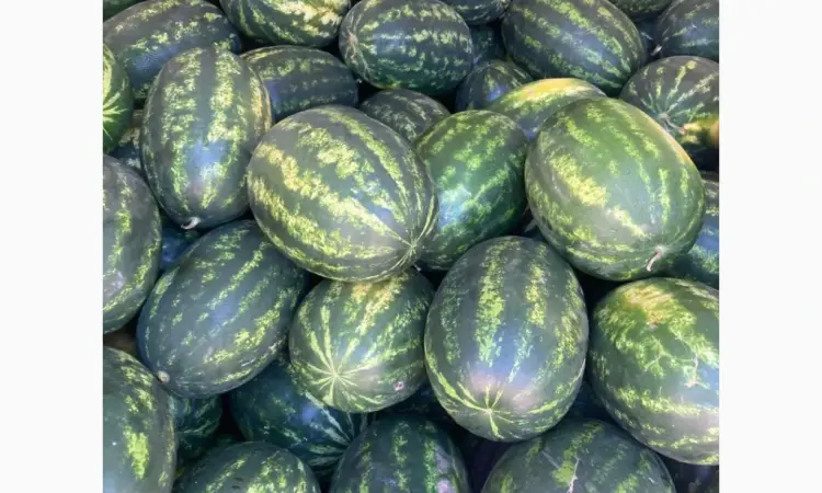 Продам кавун ОПТ з поля - фото № 1