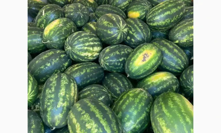 Продам кавун ОПТ з поля - фото № 2