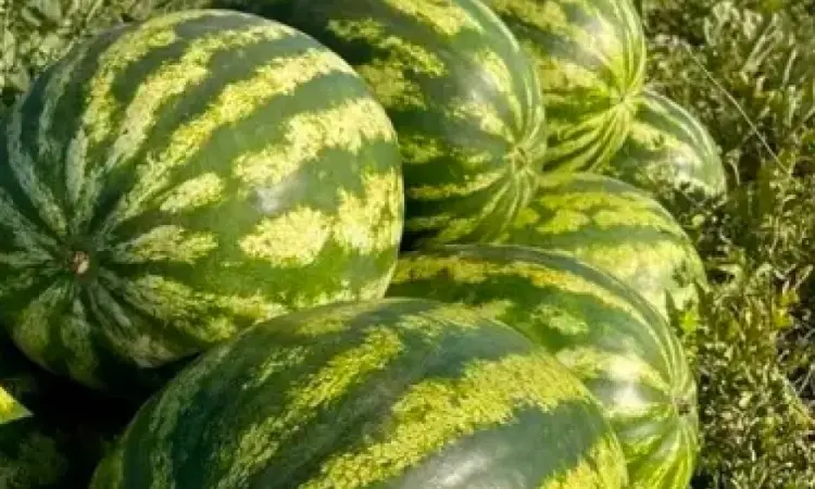 Продам кавун - фото № 1