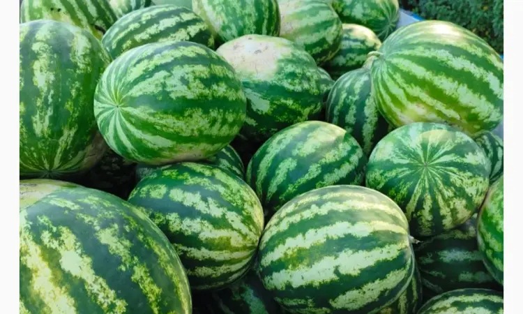 Продам кавун - фото № 1
