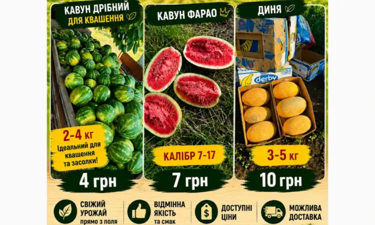 Продам кавун - фото № 1