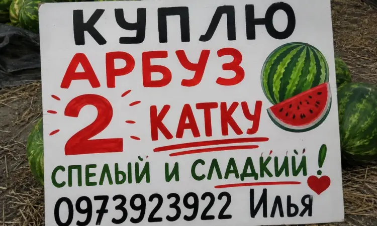Куплю арбуз - фото № 1