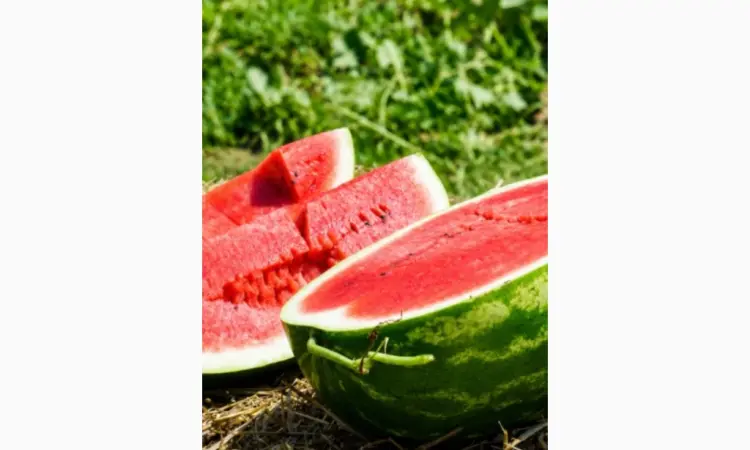 Продам кавун - фото № 1