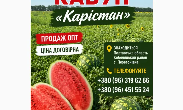 Продам кавун Карістан - фото № 1