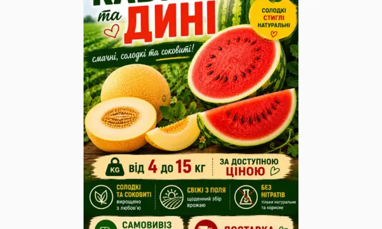 Продаж кавунів та динь. Оптом з поля - фото № 1