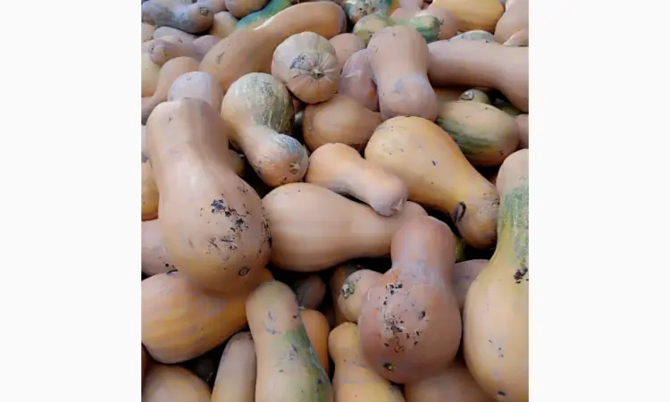 Продам гарбуз - фото № 2