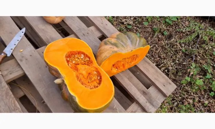 Продам тыкву ромашка Киевская обл Бровары - фото № 5