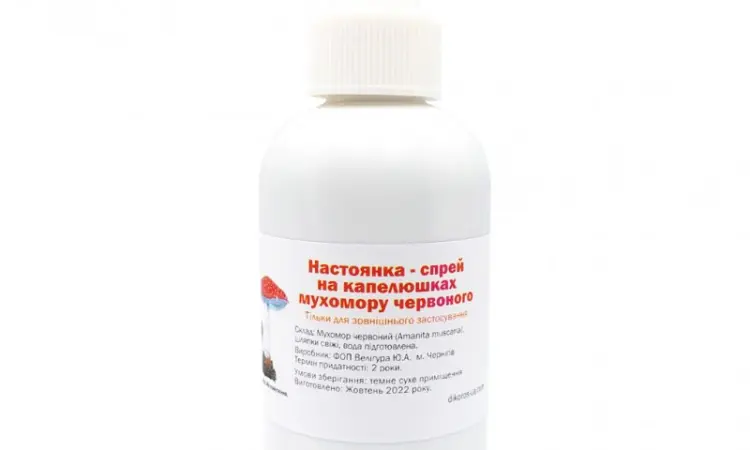 Настоянка на капелюшках Мухомору червоного (Amanita muscaria) - фото № 2