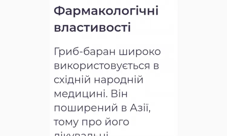 Лікувальний Мейтаке лісовий гриб сушений - фото № 2