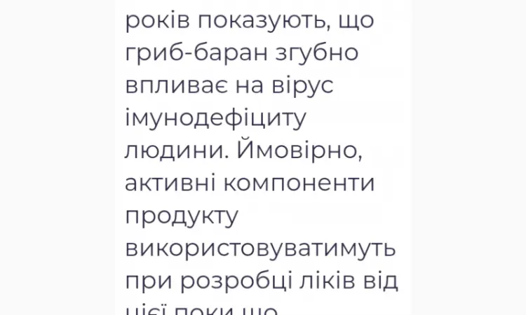 Лікувальний Мейтаке лісовий гриб сушений - фото № 3