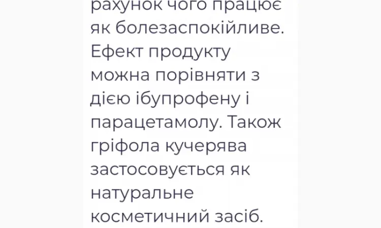 Лікувальний Мейтаке лісовий гриб сушений - фото № 5